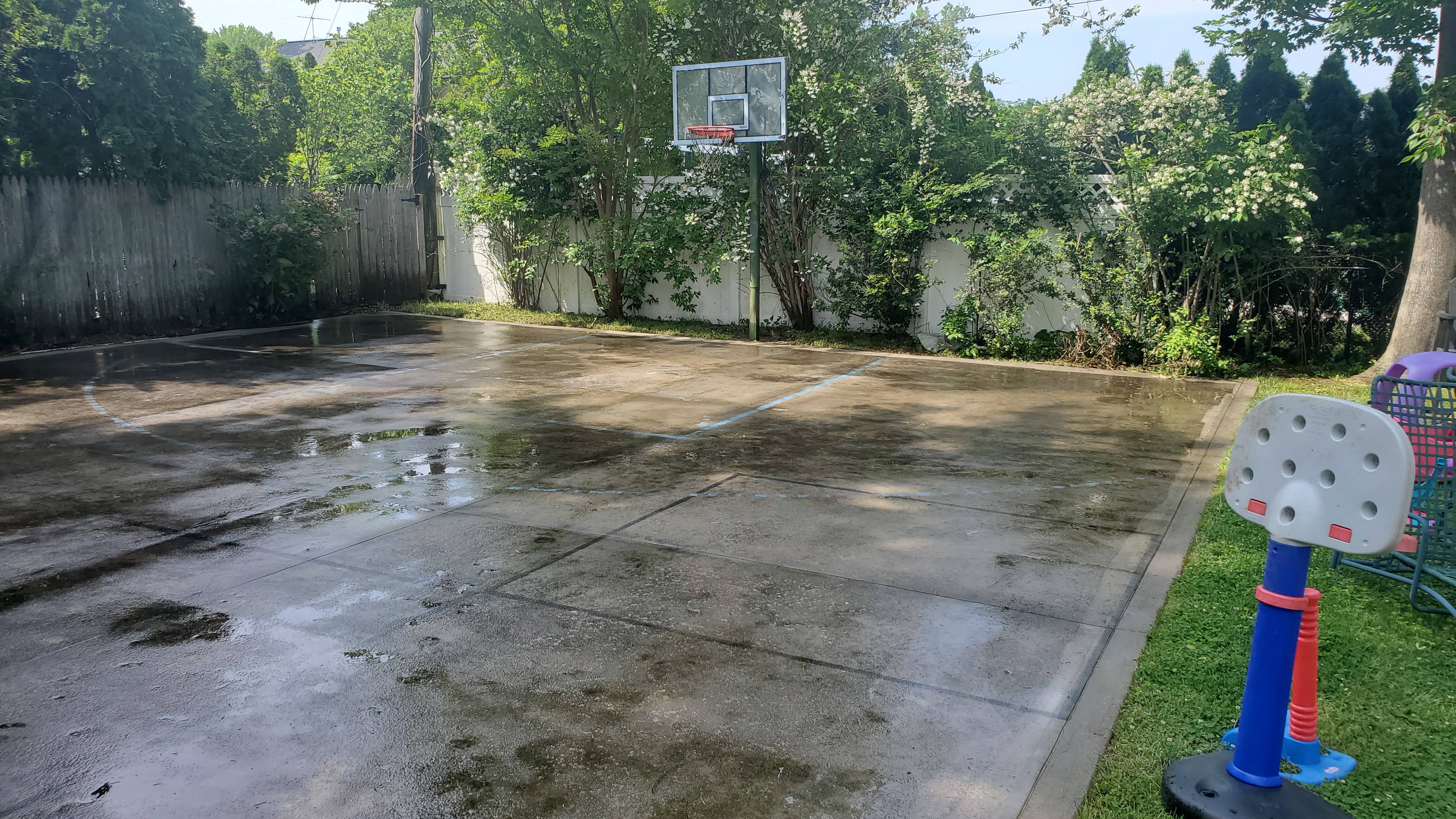 Backyard concrete basketball court and patio covered in heavy algae staining and biological growth before cleaning