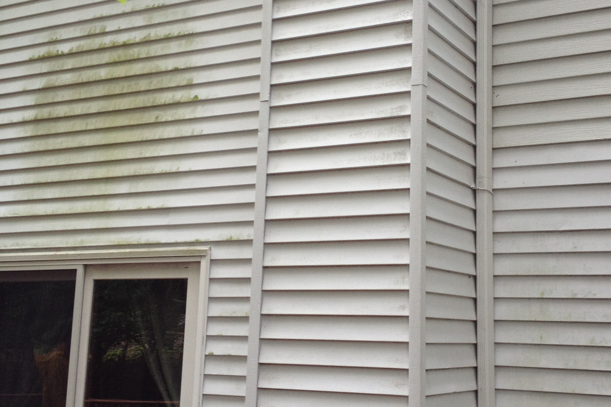 Vinyl house siding covered in heavy green algae and mold before soft wash cleaning