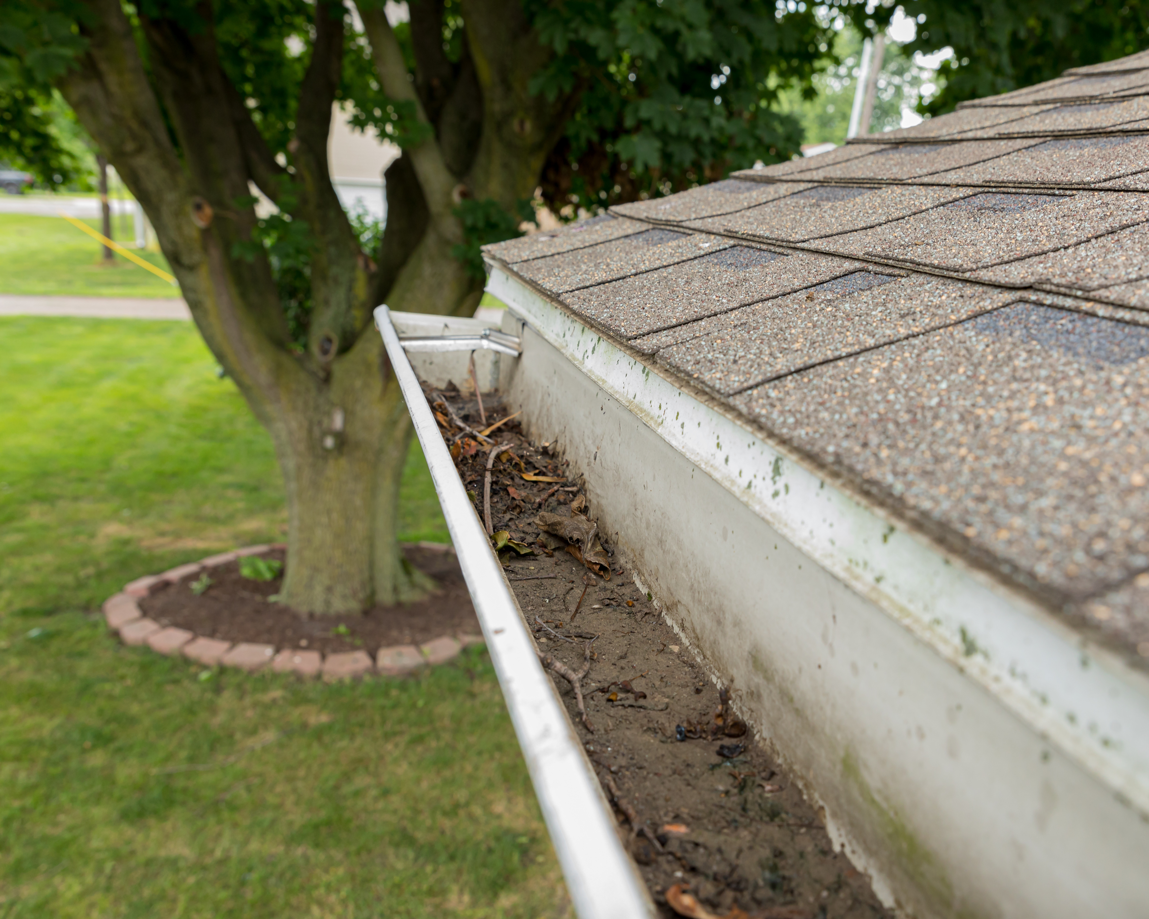 Gutter clogged with leaves and debris requiring professional cleaning