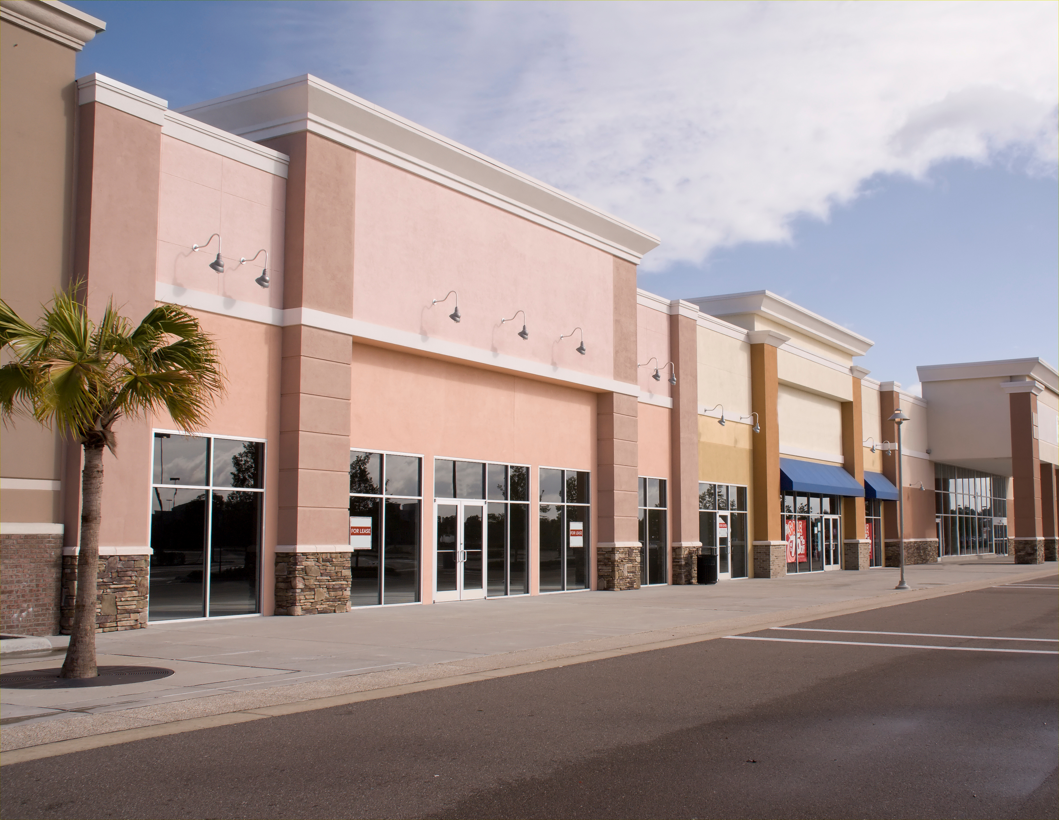 Florida strip mall retail storefront with palm tree and clean stucco exterior